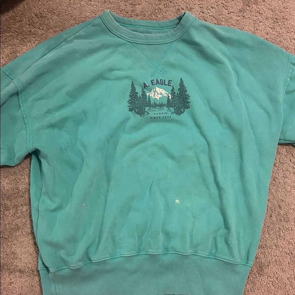 Teal Graphic Sweatshirt